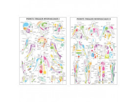 Planches Anatomiques Points Trigger Myofasciaux - Dry needling - SISSEL Pro