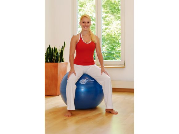 SISSEL® BALL Swiss Ball Ø55 cm SISSEL® BALL Swiss Ball Ø55 cm