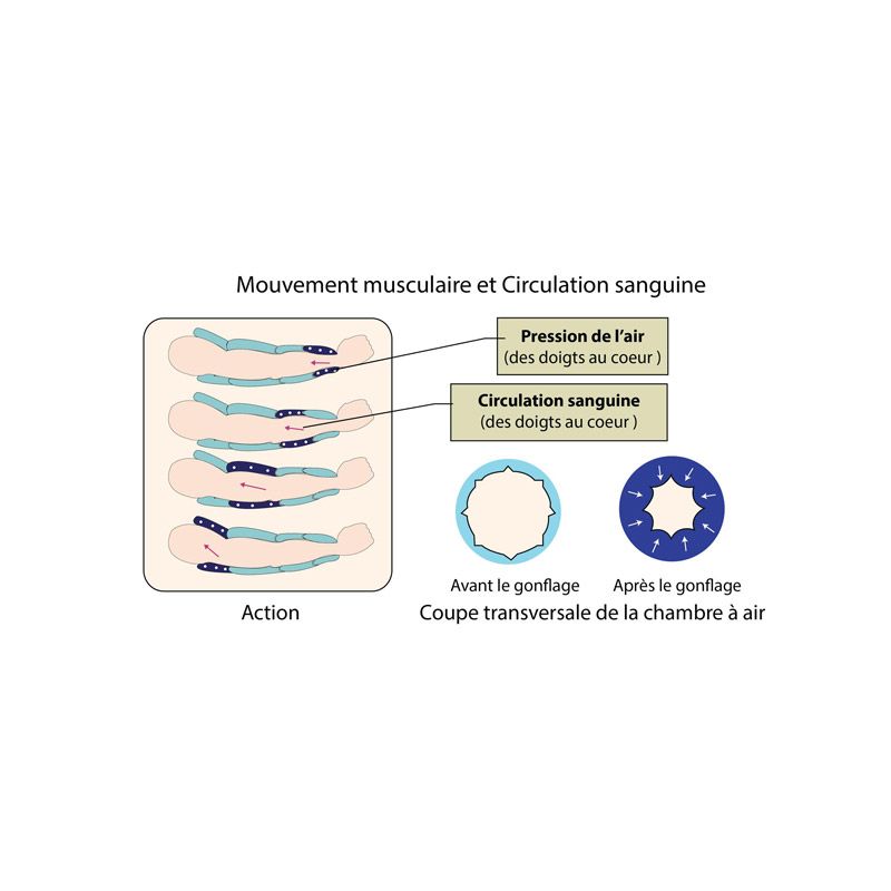 Schéma du système de compression du manchon PRESS4 Winelec®