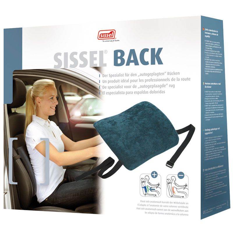 Nouvelle Arrivée Ensemble De Coussin De Soutien De Cou Et De Soutien Lombaire  Pour Voiture, Coussin De Repose-tête À Usage Automobile Pour Les Quatre  Saisons Avec Coussin De Taille