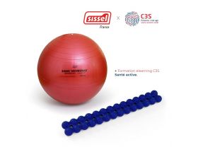 Pack Activité Physique : Spinefitter, ballon SISSEL Ø65 cm et formation Santé Active