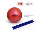 Pack Activité Physique : Spinefitter, ballon SISSEL Ø65 cm et formation Santé Active