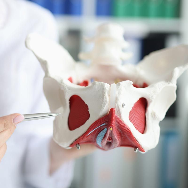 Kit Intima DiaCare 5000