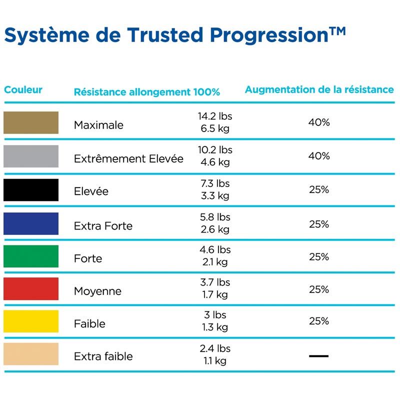 Lot De Bandes De Résistance Fitness 7 Niveaux – Avec Poignées, Ancrage De Porte – Jaune, Bleu, Vert, Noir, Rouge, Orange, Violet – 2 à 75 Lbs