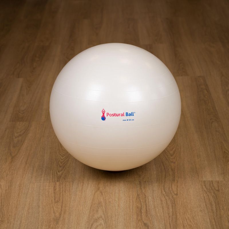 Ballon Postural Ball® modèle 2024