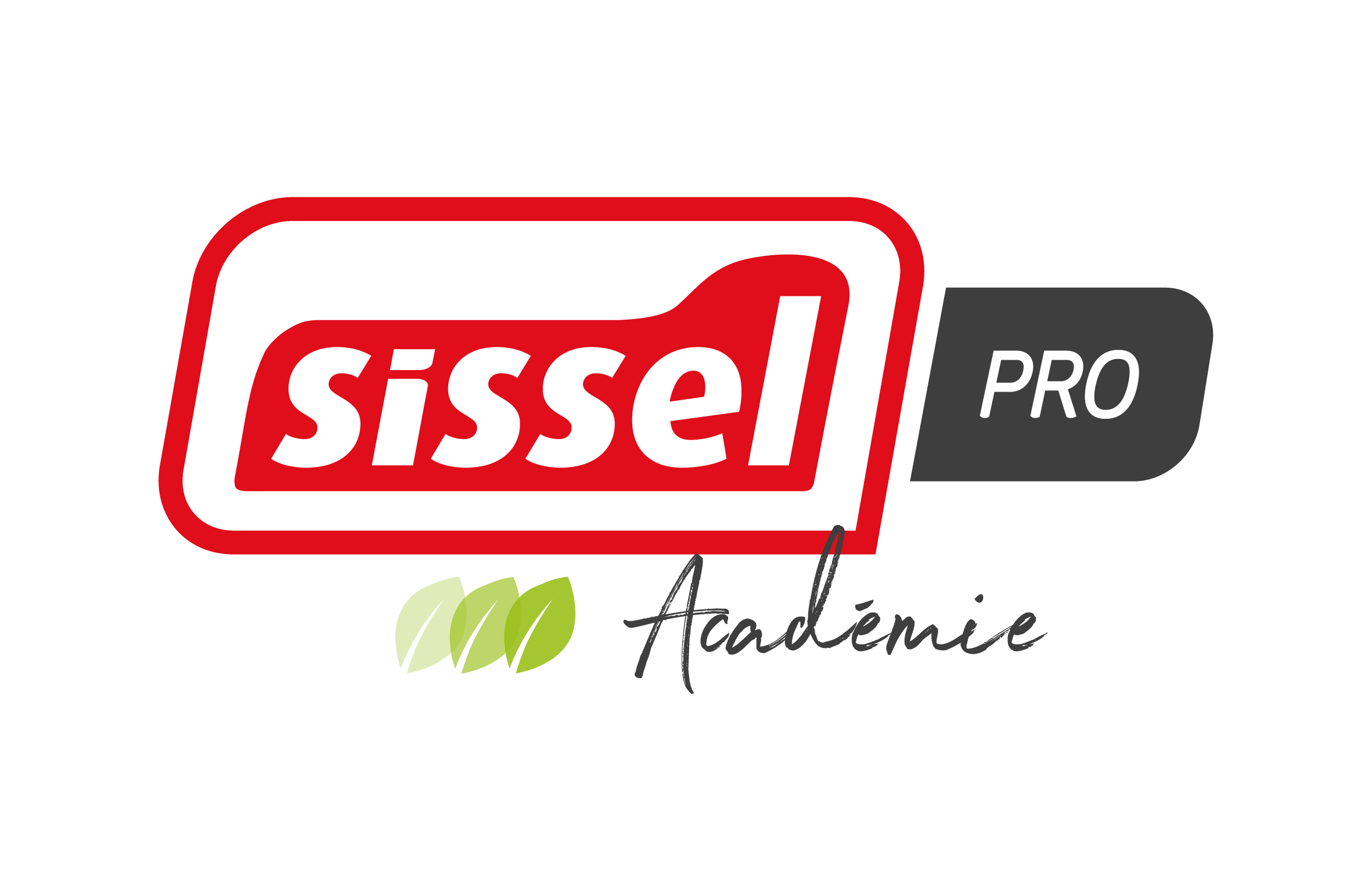 Logo de l'académie SISSEL Pro France